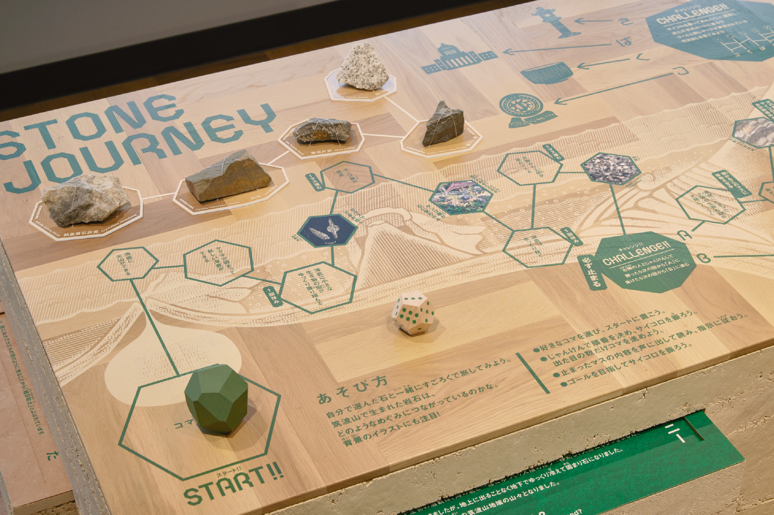 つくばジオミュージアム Exhibition イメージ