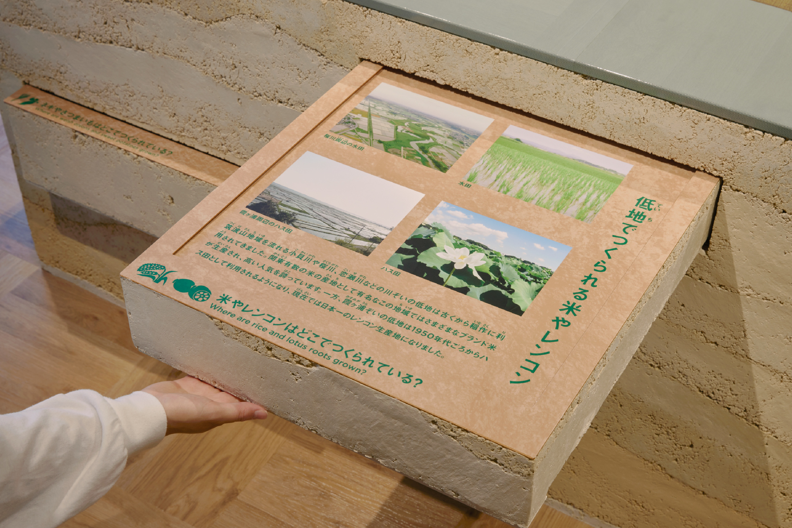 つくばジオミュージアム Exhibition イメージ