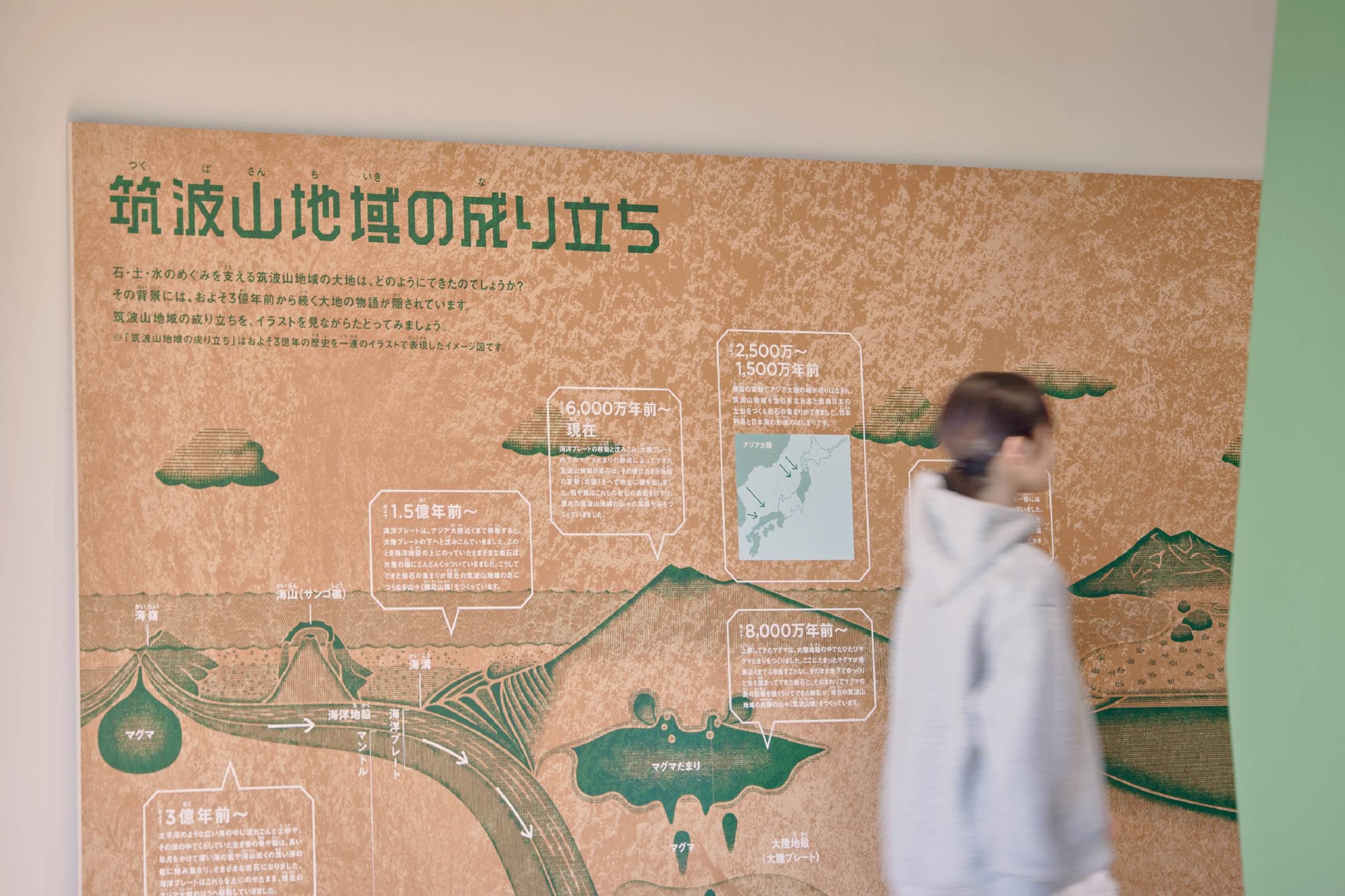 つくばジオミュージアム Exhibition イメージ