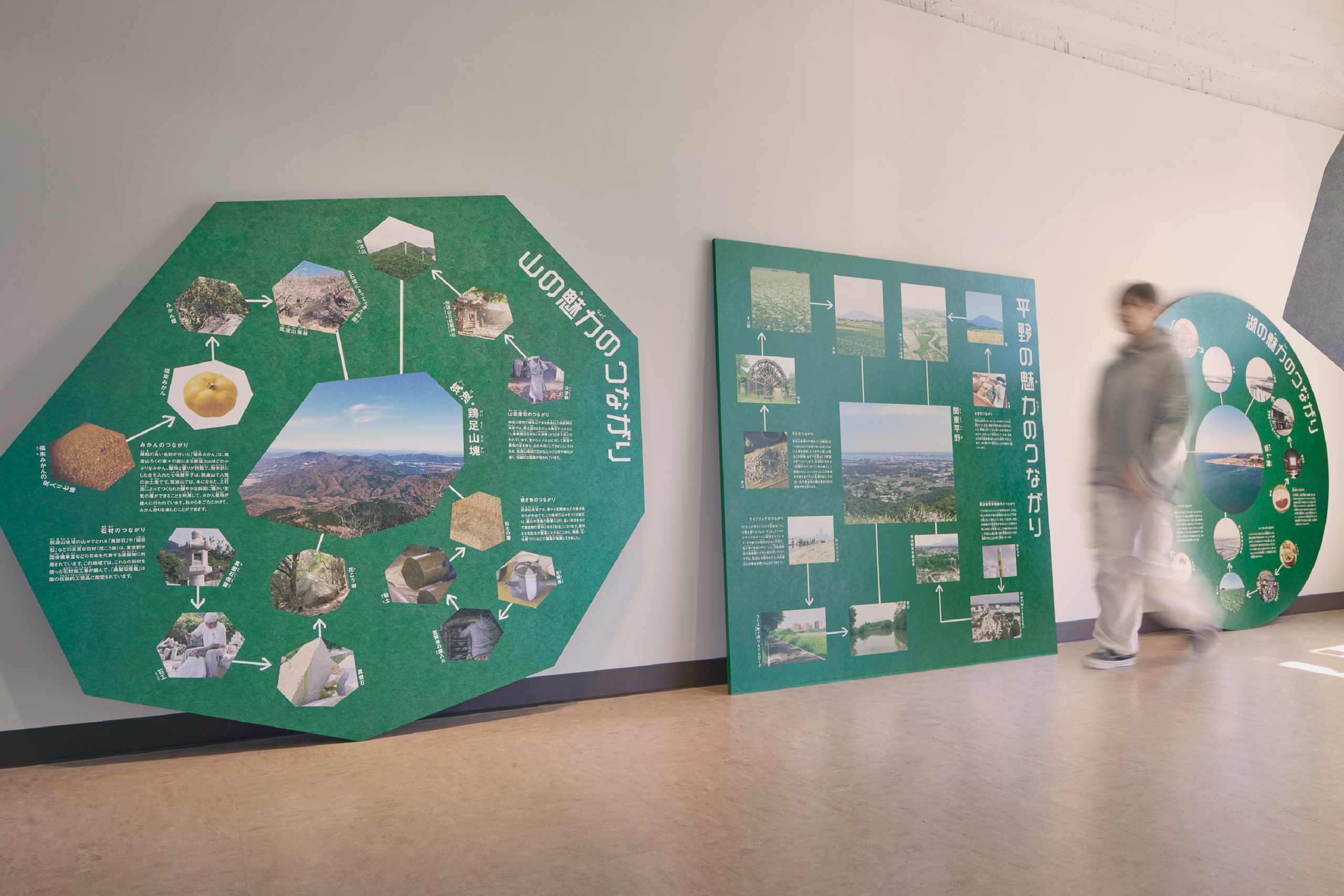 つくばジオミュージアム Exhibition イメージ